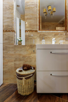 Modern small bathroom interior design. Ocher style
