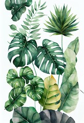 green tropical leaves on white, a group of green leaves, illustration with green leaf