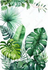 green tropical leaves on white, a close-up of some leaves, illustration with plant green