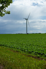 cereals farming in Link&ouml;ping Sweden