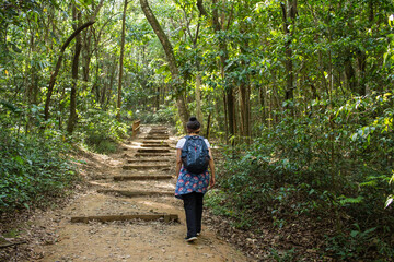 Naklejka na ściany i meble Mulher na Trilha do Pai Zé - SAO PAULO, SP, BRAZIL - NOVEMBER 13, 2022: Woman walking on Pai Zé trail, which leads to Jaragua peak, in Jaragua State Park.