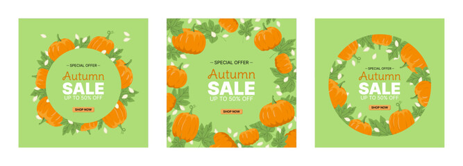Set of autumn pumpkin frames with leaves and seeds. Flat, vector