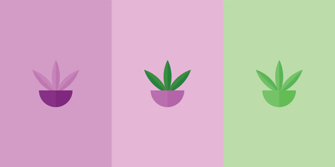 Vector illustration of three potted plants with different colored background. clean vector template for plant concept design with colors such as purple, pink and green.