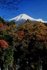 mountain in autumn