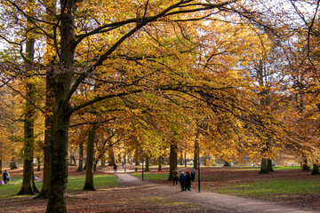 Bois de la Cambre in Brussels during autumn