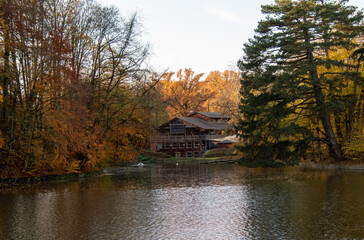 Bois de la Cambre in Brussels during autumn