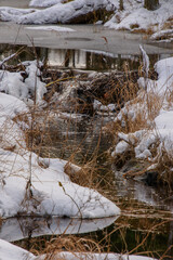 River in the Canadian forest after the first snows of November. Province of Quebec