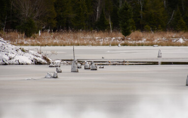 Lake in the Canadian forest after the first snows of November. Province of Quebec