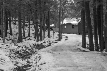 Old chalet deep in the Canadian forest in winter in Quebec