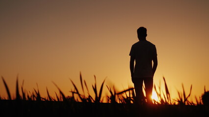 A young man stands in one field and looks at the sunset
