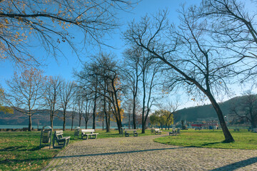 Autumn in the park. Pavement in the park.