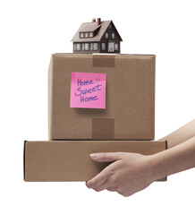PNG file no background Woman bringing boxes in her new home