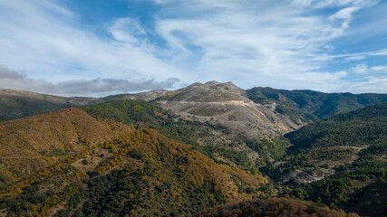 Fototapeta na wymiar Panorámica del frondoso bosque del cobre en el valle del Genal, Andalucía 
