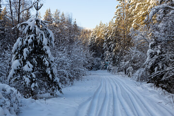A country road in a snow-covered forest in the taiga on a winter day. beautiful landscape of winter coniferous forest.