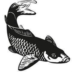 fish icons showing aquatic animals with various fins, scales, tail and gills swimming in water, as skeletons.