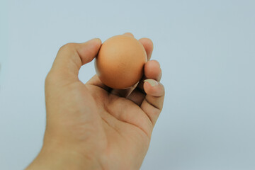 a chicken egg in the palm of your hand.
