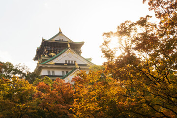 Fototapeta premium Osaka Castle is one of the greatest castles in Japan and the most famous landmark in Osaka City. Beautiful in autumn leaves with blue sky on background. 