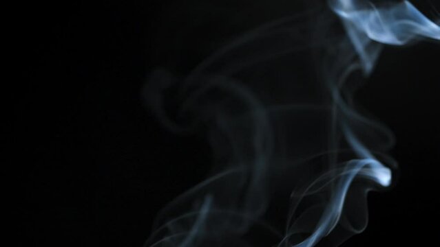 Abstract smoke rises up in beautiful swirls on a black background. Slow motion