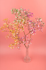 Fototapeta premium Colorful gypsophila twigs. Delicate graceful twigs with flowers on pink background.