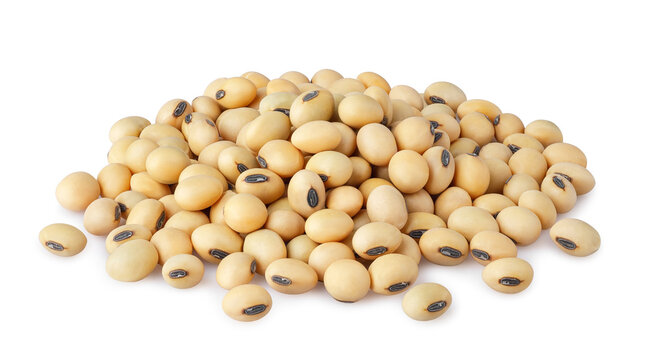 Soybeans Or Soya Heap Isolated On White