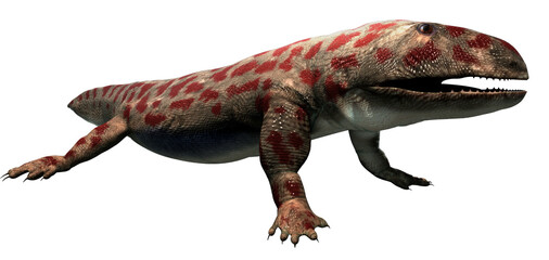 Prehistoric amphibian reptile