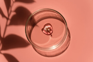 Face serum, oil, beauty product and flower in Petri dish. Natural medicine, bio research concept