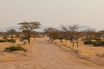 Namibian landscape along the gravel road. Solitaire, Namibia.