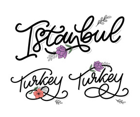 Fototapeta premium Istanbul. Hand lettering. Vector logo of Istanbul in black color with seagulls on white background. souvenir products, banner emblem, travel blog social media, brochure, flyer. Digital illustration.