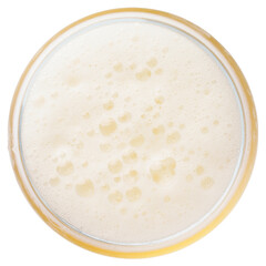 beer bubbles in Glass of light beer top view collection isolated on white, macro