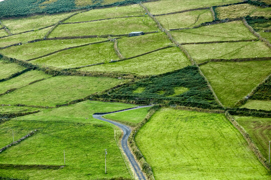 Green Pastures, devided by hedges and stone walls
in the Republic of Ireland