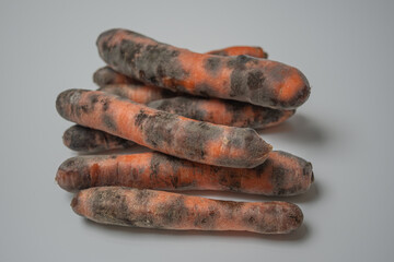A bunch of moldy carrots at grey solid background with shadow. Concept of healthy food, and food recycling