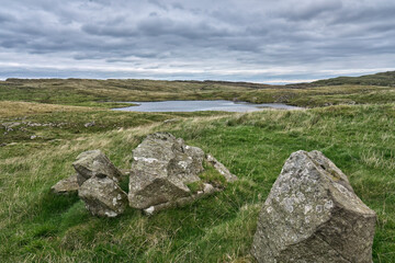 Green Pastures, devided by hedges and stone walls
in the Republic of Ireland
