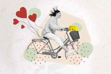 Collage photo of young crazy attractive woman riding bicycle with absurd little red heart lovely wheels fast isolated on painted background - Powered by Adobe