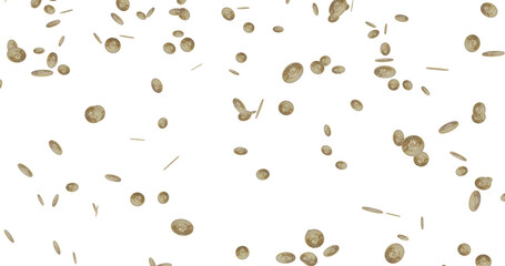 rain of gold bitcoin coins.