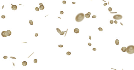 rain of gold bitcoin coins.