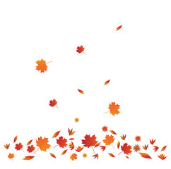 Autumn colors background design. Leaf background design. Autumn sale poster design. November. Hello autumn, autumn leaves, colorful leaves isolated set, autumn elements, autumn banner, poster.