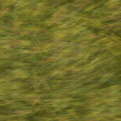 Graphic Design Backgrounds Wallpaper Backdrop for Packaging, Labelling, Stationery