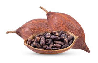 Fotobehang Cocoa isolated on transparent png © supamas