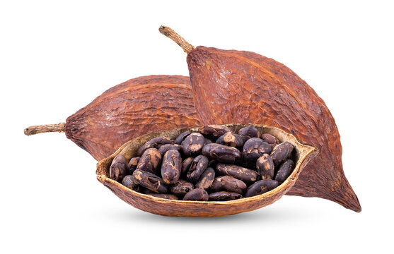 Cocoa isolated on transparent png