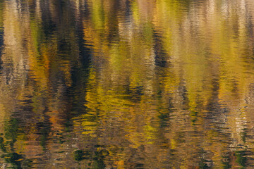 Reflections of trees in mountain lake on beautiful autumn day.