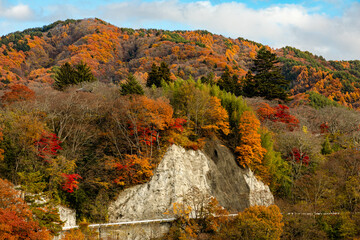 Autumn Leaves at Takato, Ina City, Nagano, Japan