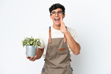 Gardener Argentinian man holding a plant isolated on white background shouting with mouth wide open