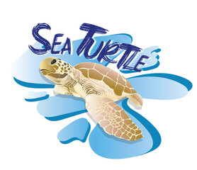 sea ​​turtle illustration
