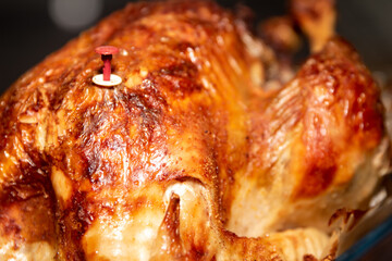 Traditional Roasted Christmas turkey with ready indicator device. Closeup and selective focus