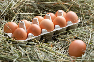 Paper tray with gray chicken eggs on a background of hay.