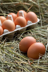Paper tray with gray chicken eggs on a background of hay.
