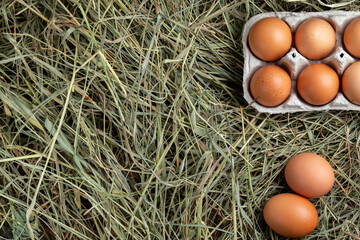 Paper tray with gray chicken eggs on a background of hay.