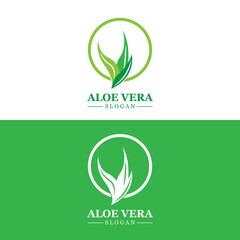 Obraz premium Aloe Vera Logo, Health Leaf Vector, Design Suitable For Beauty Salon, Organic Recycling, Skin Health Leaf