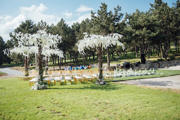Premium arch for wedding ceremony for newlyweds on the river bank with wisteria trees