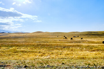 Obraz premium Kasachstan - Sharyn Cayon